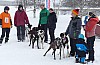 P1060759_cr.jpg