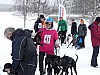 P1060762.jpg