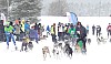 P1060770_cr.jpg