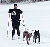 P1060781_cr.jpg