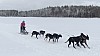 P1060801_cr.jpg
