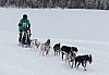 P1060806_cr.jpg
