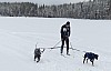 P1060815_cr.jpg