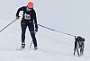 P1060817_cr.jpg