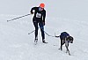 P1060818_cr.jpg
