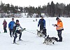 P1060832_cr.jpg