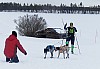 P1060850_cr.jpg