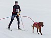 P1060887.jpg