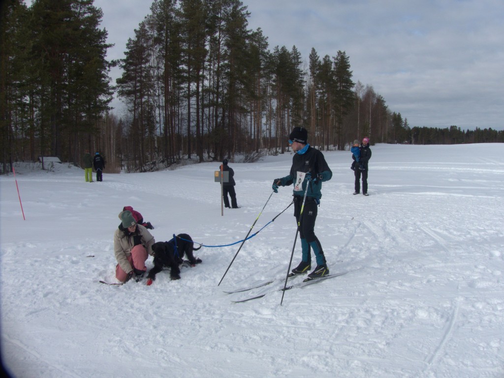 P1070002.jpg