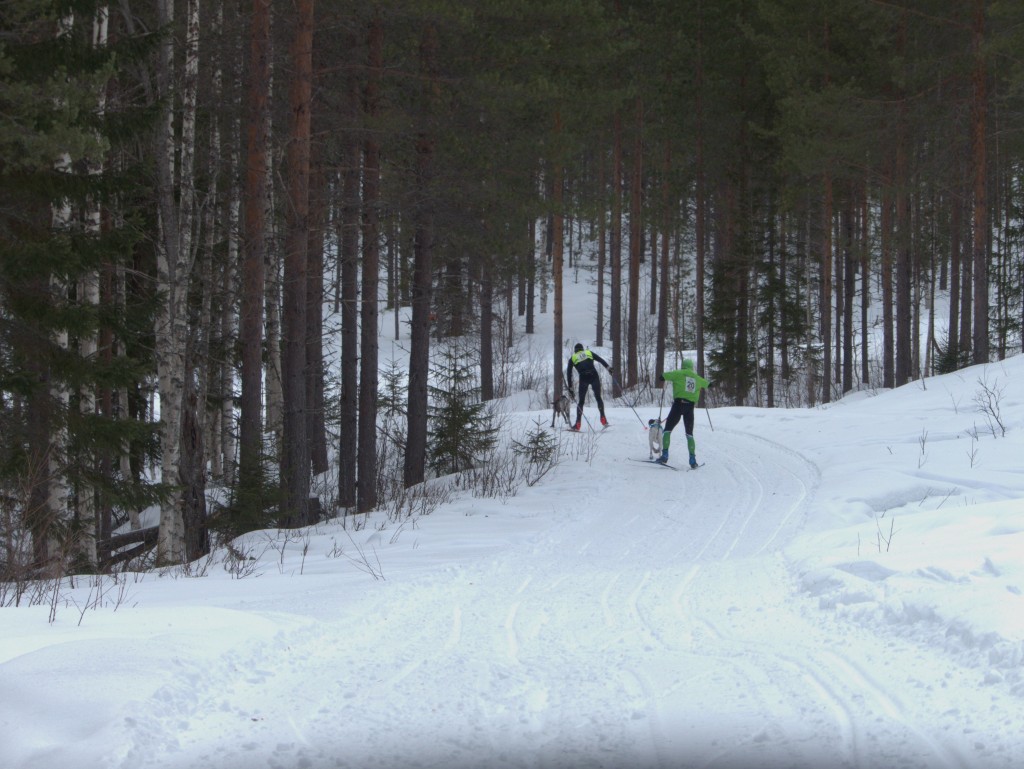 P1070005.jpg