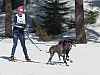 P1060927.jpg