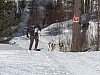 P1060931.jpg