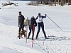 P1060952.jpg