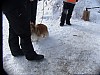 P1060980.jpg