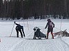 P1060988.jpg