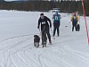 P1060993.jpg