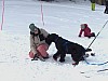 P1060999.jpg