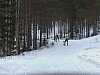 P1070005.jpg