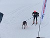P1070007.jpg