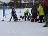 P1070018.jpg