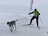 P1070027.jpg