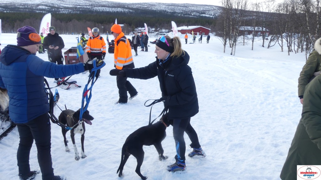 P1070573_resultat.jpg