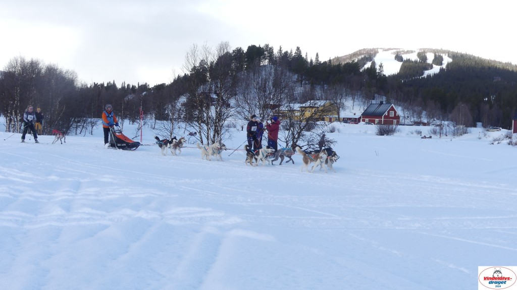 P1070596_resultat.jpg