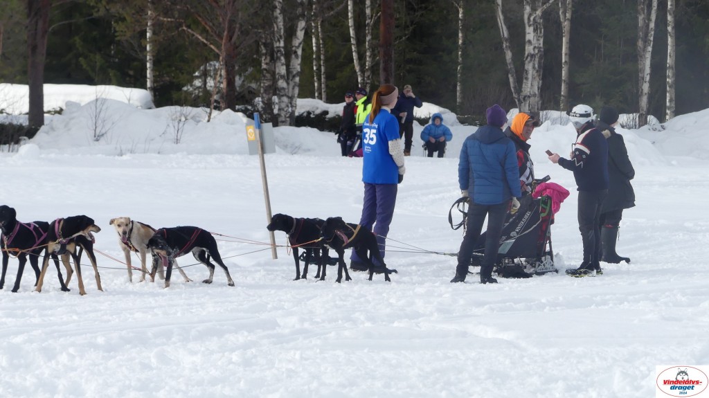 P1070612_resultat.jpg