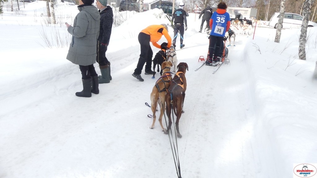 P1070625_resultat.jpg