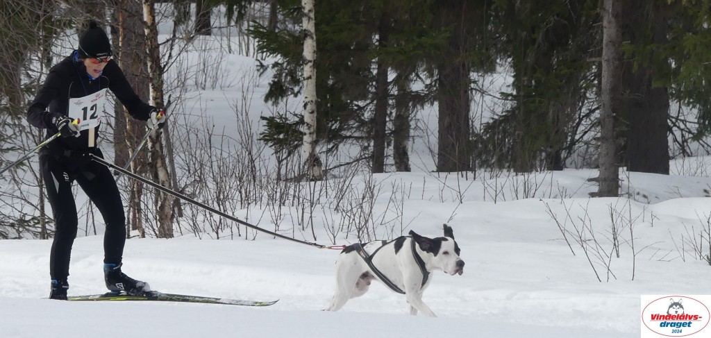 P1070630_cr_resultat.jpg
