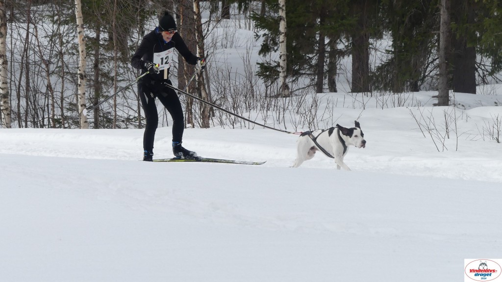 P1070630_resultat.jpg