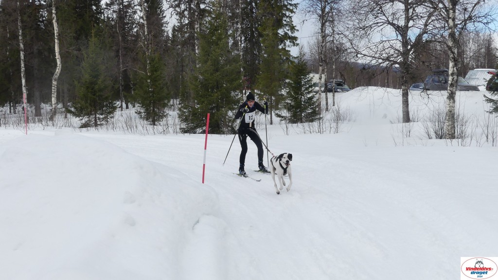 P1070631_resultat.jpg