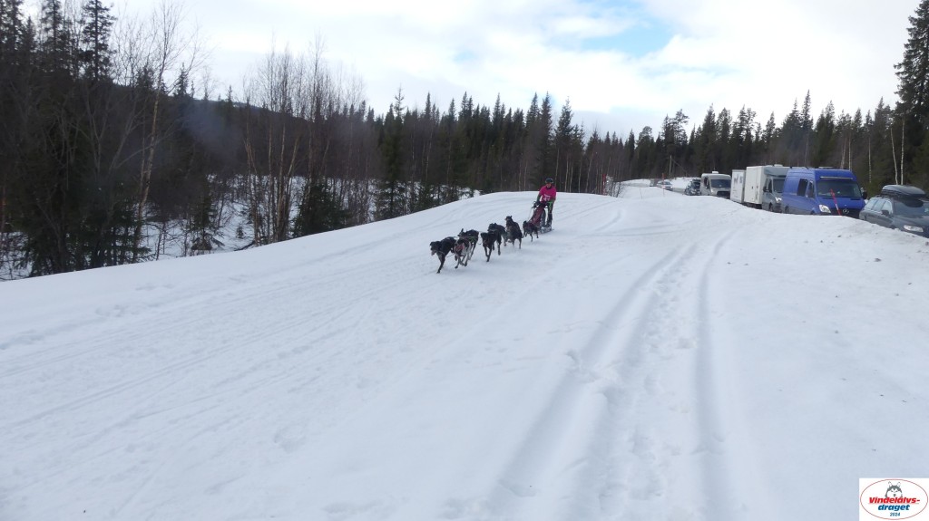 P1070636_resultat.jpg