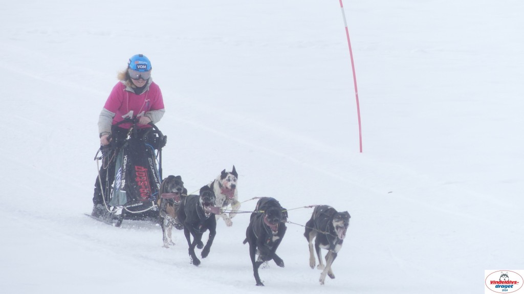 P1070646_resultat.jpg