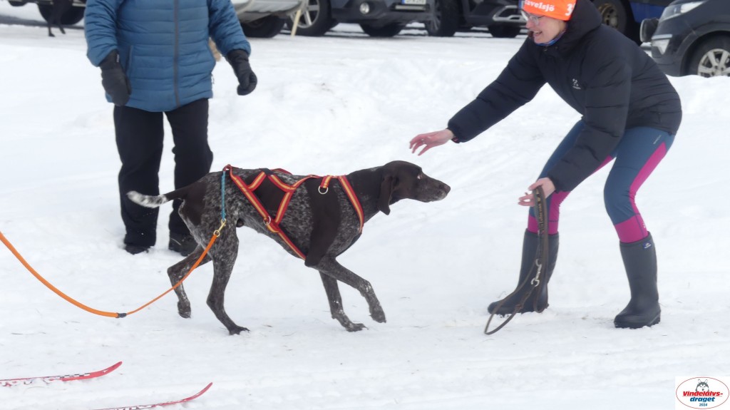P1070668_resultat.jpg