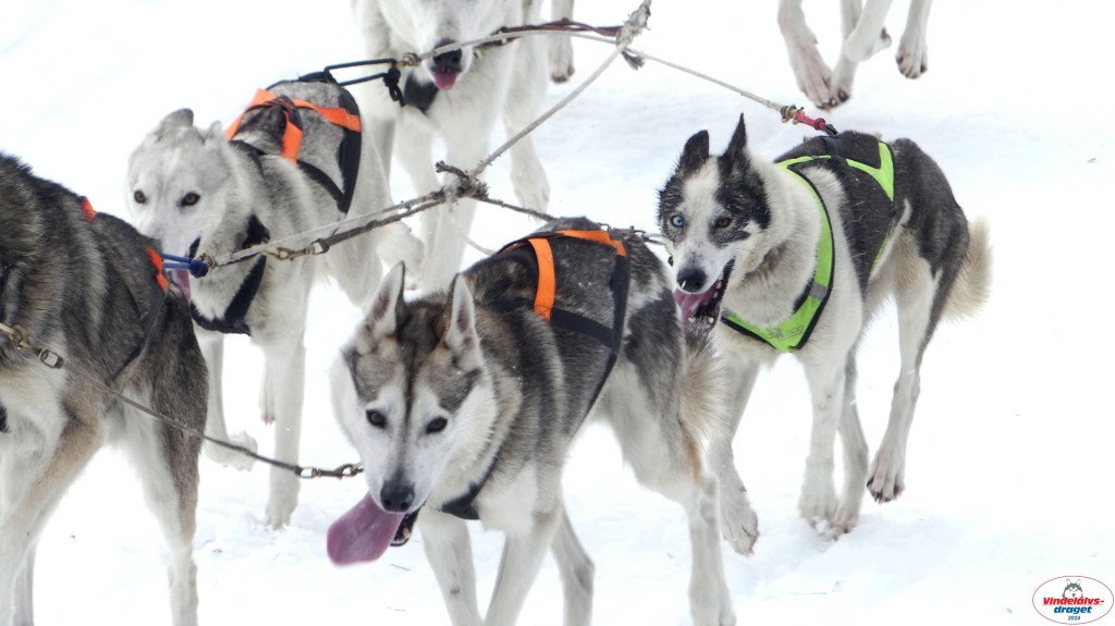 P1070678_resultat.jpg