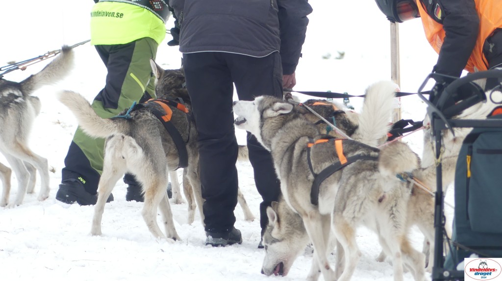 P1070681_resultat.jpg