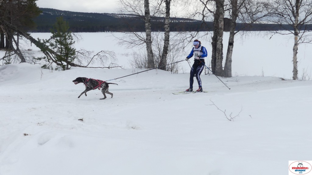 P1070693_resultat.jpg