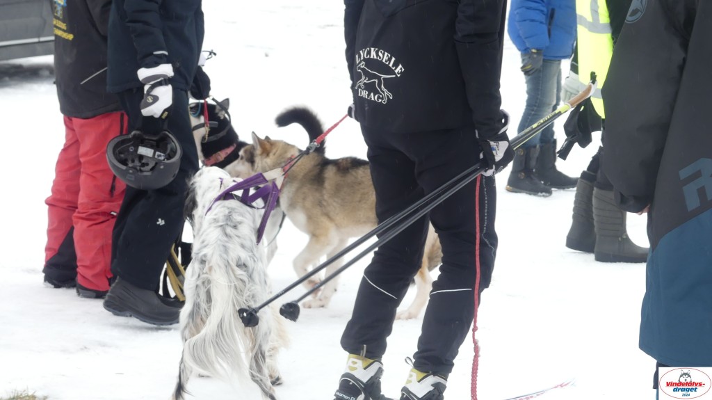 P1070694_resultat.jpg