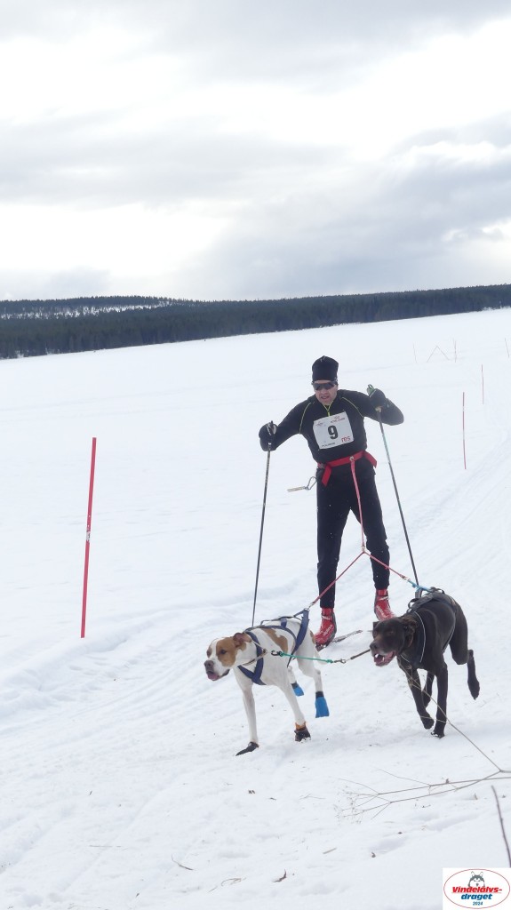 P1070709_resultat.jpg