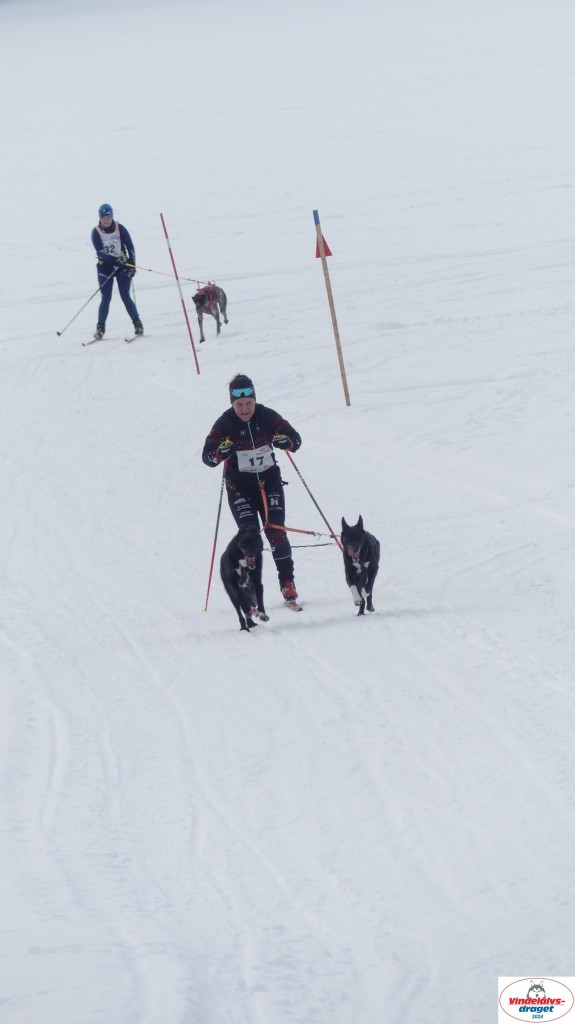 P1070713_resultat.jpg