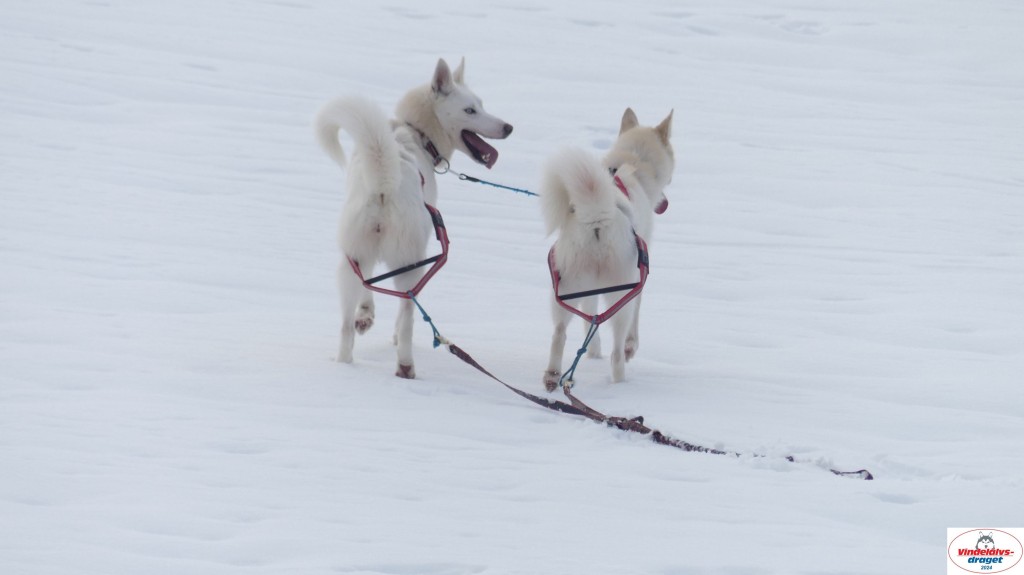 P1070724_resultat.jpg