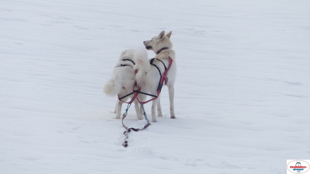 P1070725_resultat.jpg