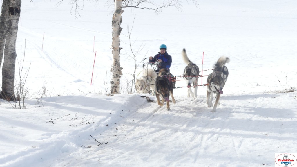 P1070726_resultat.jpg