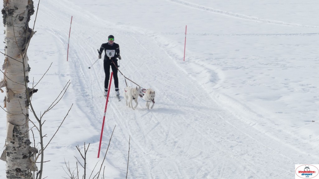 P1070728_resultat.jpg