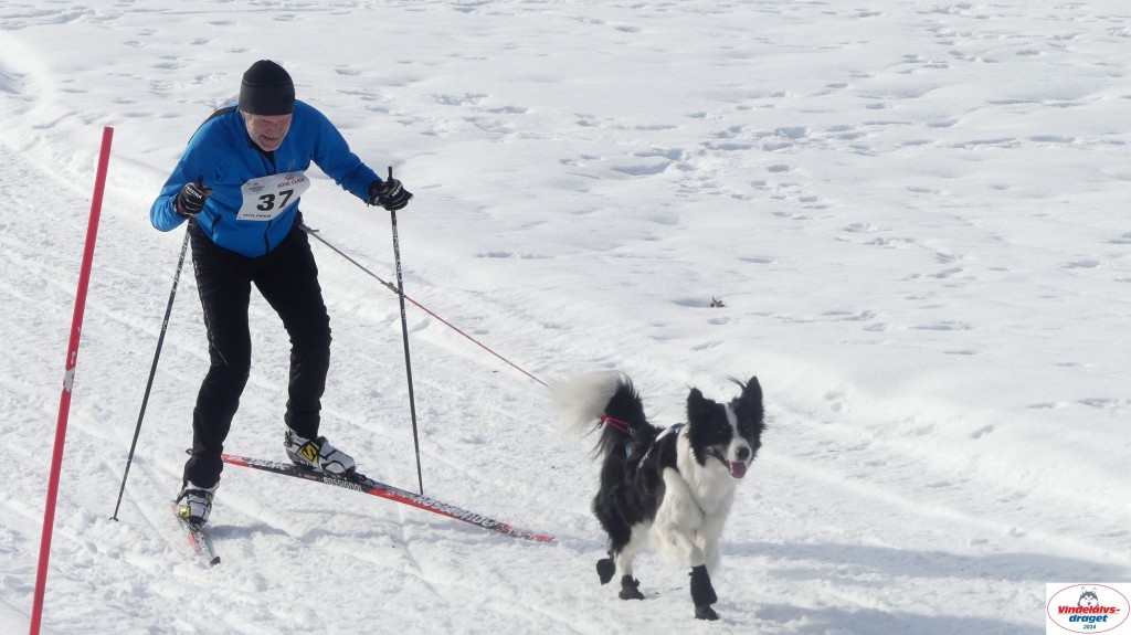 P1070739_resultat.jpg