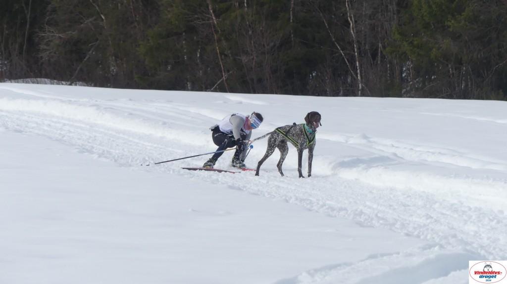 P1070742_resultat.jpg