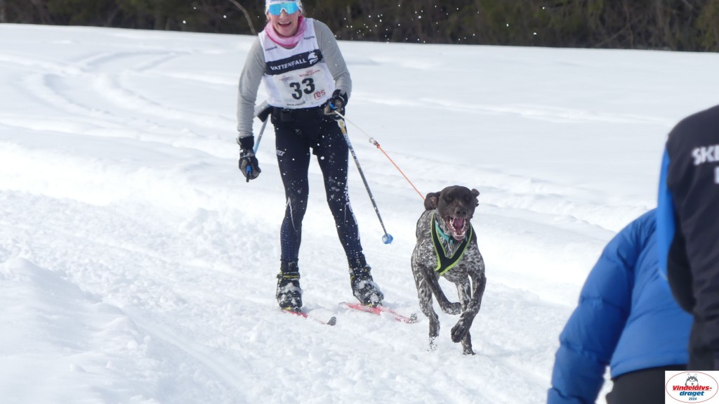 P1070743_resultat.jpg