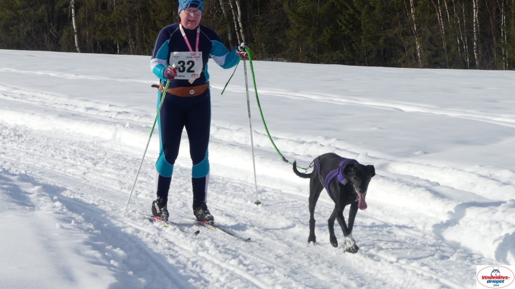 P1070749_resultat.jpg