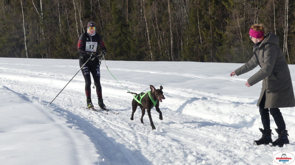 P1070751_resultat.jpg